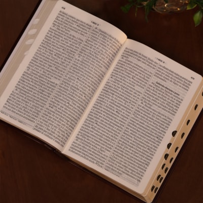 image_9ef68d90-b11b-4f09-828e-ec2c8564f776