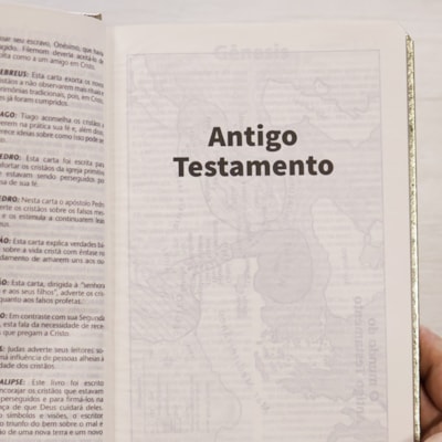 image_7d590a42-fa20-4496-aa3a-af0fff8bfb91