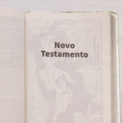 image_e3dddd85-cbf0-41f5-9466-790ffaad1db1