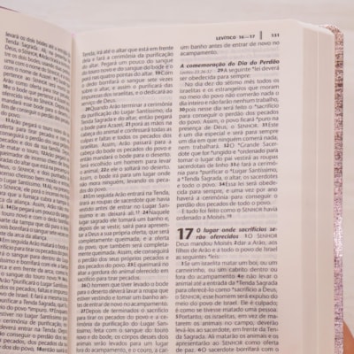 image_bf02fdfa-4f86-43cf-82f2-1211deac3122