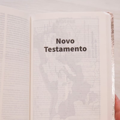 image_6f3d3cdb-cba8-4ba1-8b73-855dacf44f49