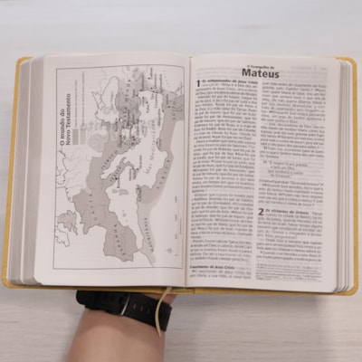 image_9596c6e6-d72b-4c20-a8ab-179d68a3a04a