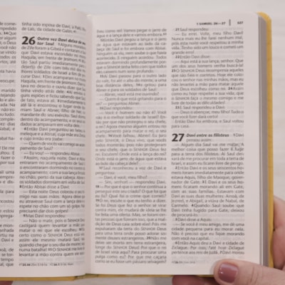 image_1a2d267d-a889-4ed2-8d11-9e31d4650d80