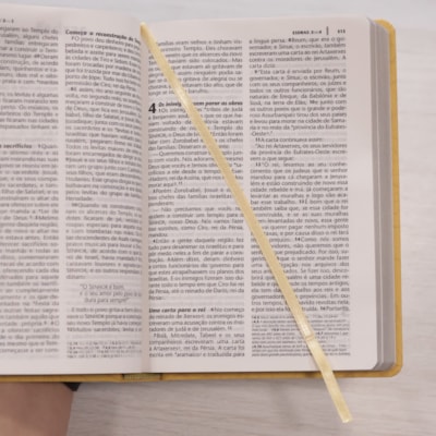 image_ea0e830b-a976-4a66-9b4e-adc2e08d6bc1