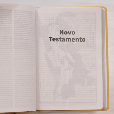 image_8326e390-45e0-4f64-8c55-a51159172d83