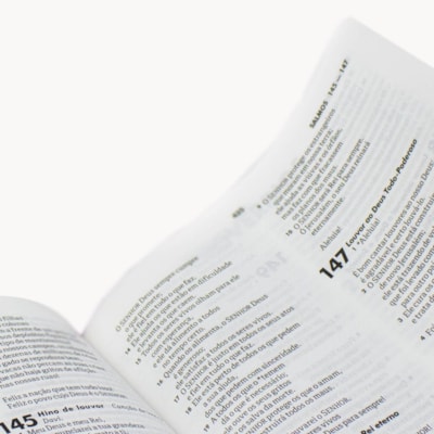 image_6a3c89ee-d39c-4749-949b-3a3070971e6e