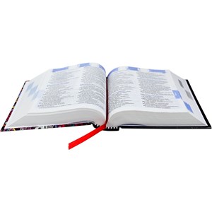 Bíblia Sagrada | NTLH | Letra Normal | Notas Para Jovens | Capa Ilustrada Jovem