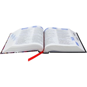 Segunda imagem do produto Bíblia Sagrada | NTLH | Letra Normal | Notas Para Jovens | Capa Ilustrada Jovem