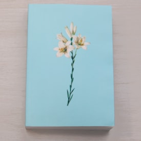 Segunda imagem do produto Bíblia Sagrada | NTLH | Lírios Azul | Brochura