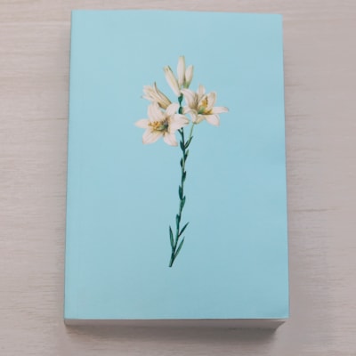 Segunda imagem do produto Bíblia Sagrada | NTLH | Lírios Azul | Brochura