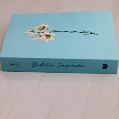 image_4b7bc9f7-35b6-4874-b0df-661419afd2e6