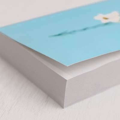 image_d36d0e6b-df57-48c3-a6ec-ae2ae562ec75