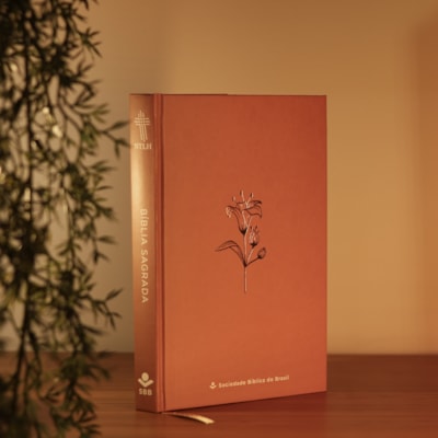 Segunda imagem do produto Bíblia Sagrada | NTLH | Mocha Mousse | Capa Dura