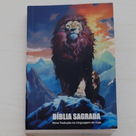 Segunda imagem do produto Bíblia Sagrada | NTLH | Raiz de Davi | Brochura
