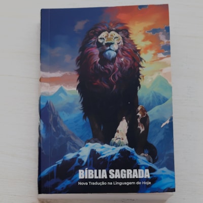 Segunda imagem do produto Bíblia Sagrada | NTLH | Raiz de Davi | Brochura
