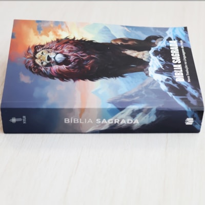 image_6bc8026f-a44e-4e5b-ae27-b43fac6df161