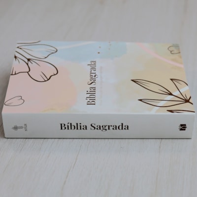 image_64b9a55c-04d8-42d2-8a06-df743d388d96