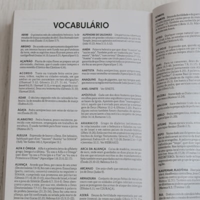 image_dd71ebbf-dd4e-4361-9d1e-7877b66ca654