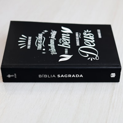 image_b0024bcf-cfeb-49f9-9bc0-b830b5e72a06