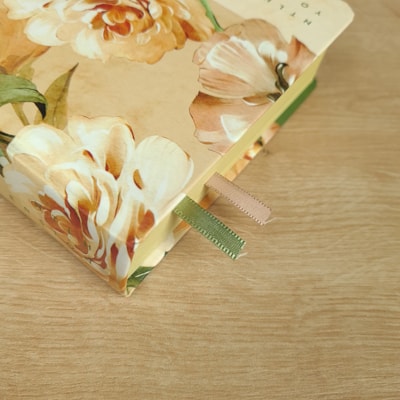 image_d3c33d88-0791-47d6-952e-ff3d1c67524f