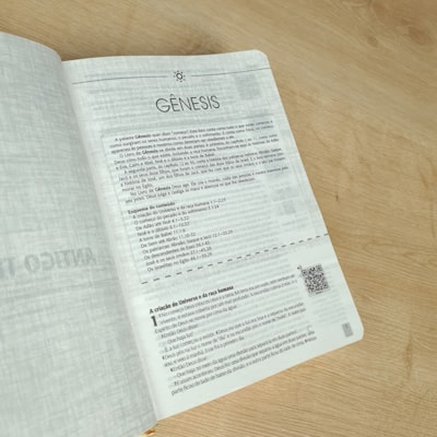 image_31cae70f-810f-40a4-8a11-e1c7df02edbd