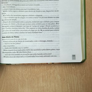 Bíblia Sagrada | NTLH | You Version | Letra Normal | Capa Dura Floral Rosé