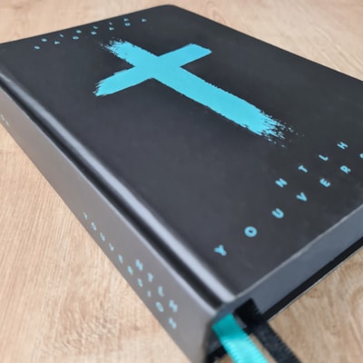 image_4311393f-4ef1-49e4-8993-67aa367446e2