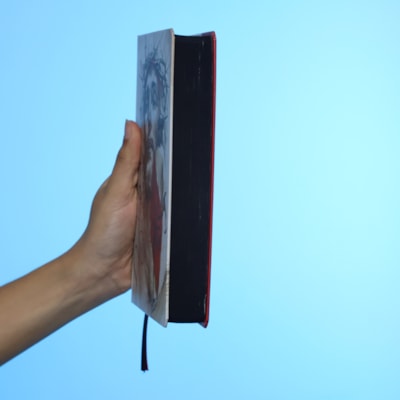 image_58915e48-4483-49bb-bae4-66366cd3af03