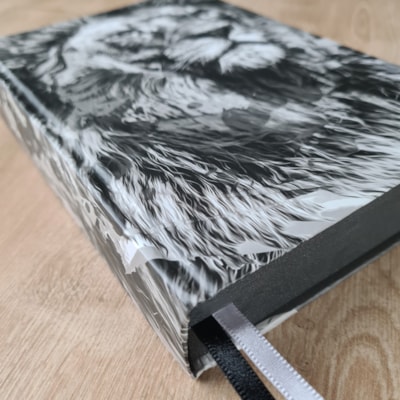 image_ff357cb2-0f9e-4708-94c5-1d972d1b13e5