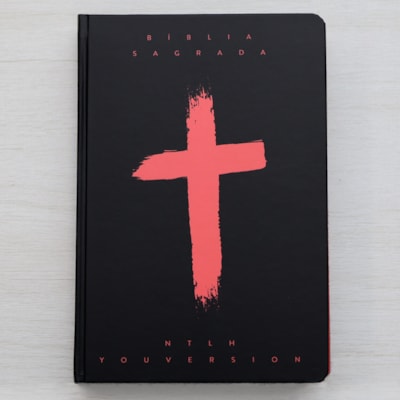 image_351cc065-03c8-4d81-a2d7-439b4e4cdbef