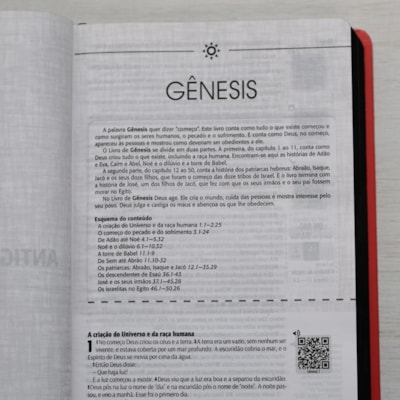 image_72eef36c-71d6-4255-a45c-700ff466b241