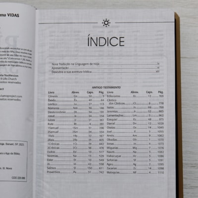 image_e656f6f5-24c8-4697-8602-afd02eab63c4