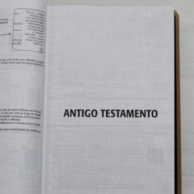 image_fc80894a-8141-4e96-80de-3a799c0d92b3