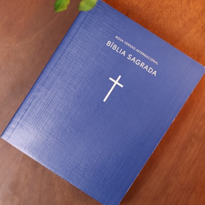 image_9c9c8349-f283-466a-b957-9e1d80515f87