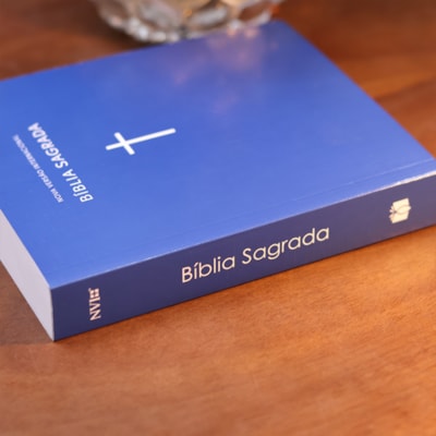 image_b412c14c-750e-4a1e-beaa-b3cc720acf86