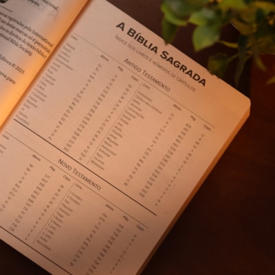 image_ab756401-adec-4cde-9a68-23793e2ae035