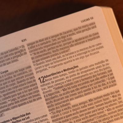 image_e8f84586-9749-42b7-bb23-b37ae46364ab