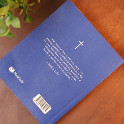 image_8588a93c-53e9-40d4-8a88-677522c4dc73