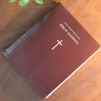 image_51bcf1ed-df12-477d-854b-0a792c101dac