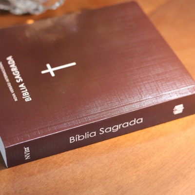 image_513e5ed9-e886-4136-b8a8-3525fcf30c8d