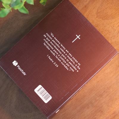 image_1139033b-eb66-44da-b529-7928080c82f6