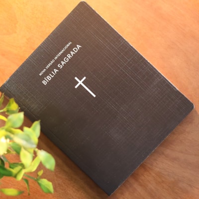 image_b46fad2e-9cdd-4224-9cd0-a53445005a4d