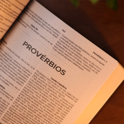 image_7908ee4f-6a0c-4434-a40b-05e4b4d6b7a0