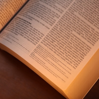 image_fa0c8f84-c463-4dd6-942c-1326d7f945ab