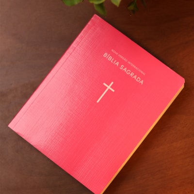 image_73e113f5-7dbf-45ed-9c8d-41505b6f55d8