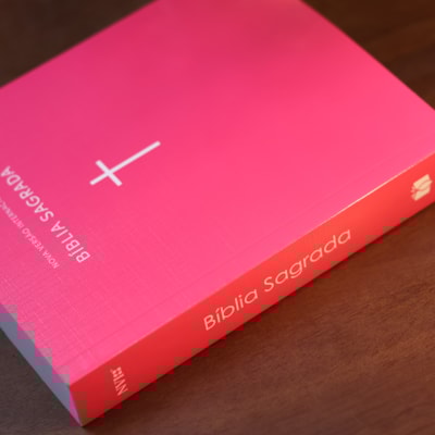 image_7d73dbc8-549e-4548-8a76-ce330831e6da