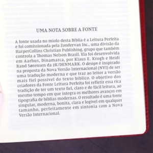 Bíblia Sagrada | NVI | Leitura Perfeita | Capa Couro Soft Rosado