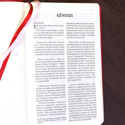 image_0cf0ef6b-5ad3-47ff-90a4-fb8fb1947842