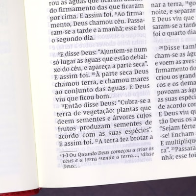 image_6006df77-1bc8-4b14-b19b-67d6242d8dd4