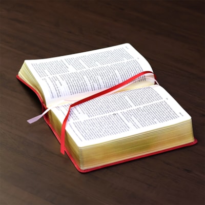 image_4561e345-583b-4d19-a424-bfb60e6f1284